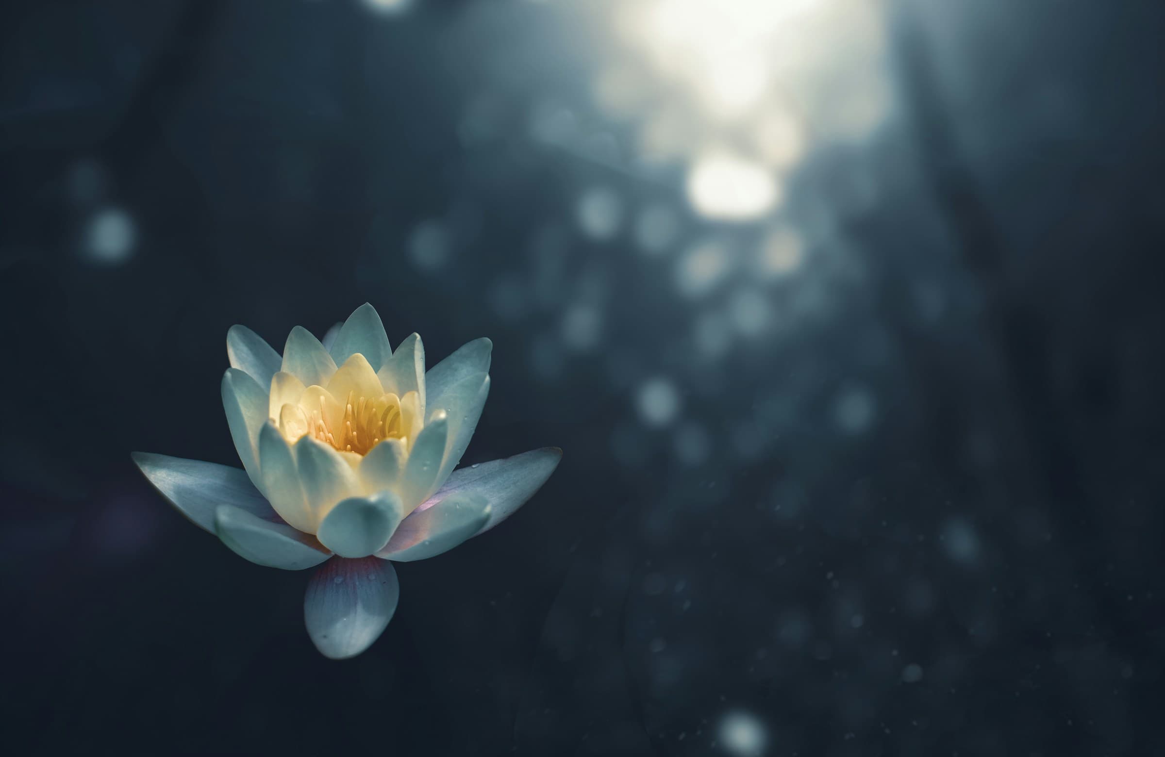 Get EasyZen for guided meditations